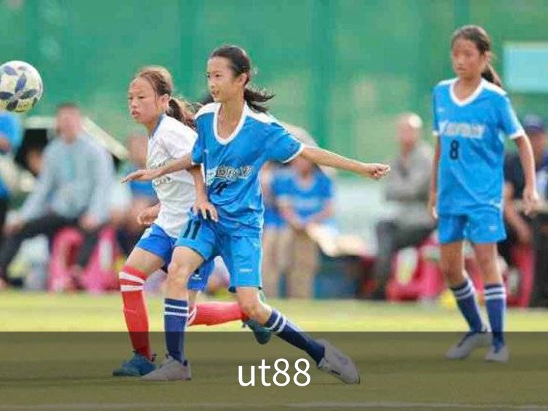 ut88简介